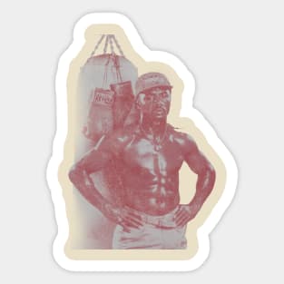 Hagler Vintage Sticker